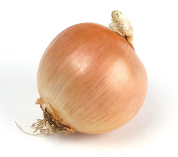 oignon